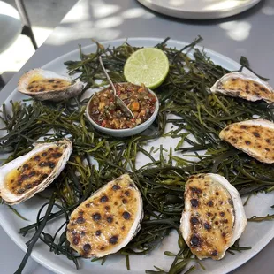 Coal Roasted Oysters