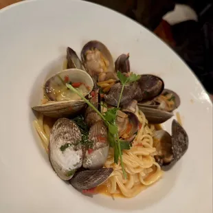 Clam special pasta