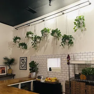 sushi and sashimi, interior