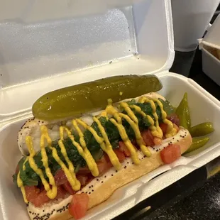 Chicago Dog