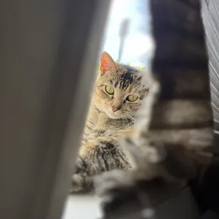 Juliette B.
