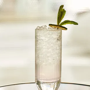 a glass of water with a sprig of mint