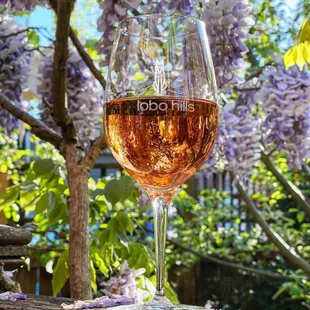 Cabernet Franc Rosé