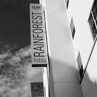 8/19/18:  Yelpers its "World Photography Day is a global event that's aspiring to create positive change in the world through photography."