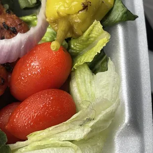 Added protein aka the bugs that were in my salad