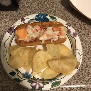 a plate with chips and a hot dog