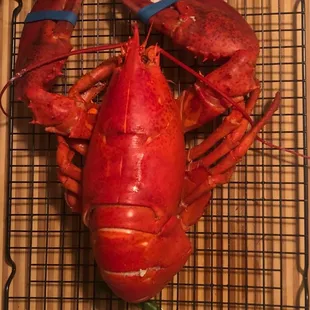 Cooked to perfection