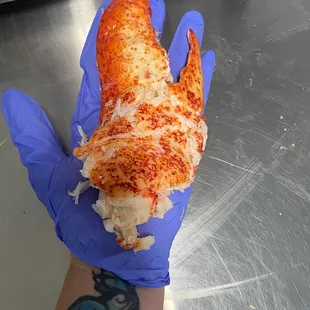 a hand holding a lobster