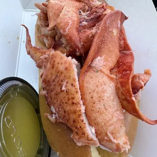 Lobster roll big dog
