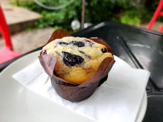 Anodyne Coffee Roasting Co