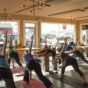 a group of people doing yoga