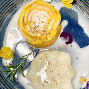 Mango Sticky rice dessert