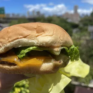 burger, food, burgers