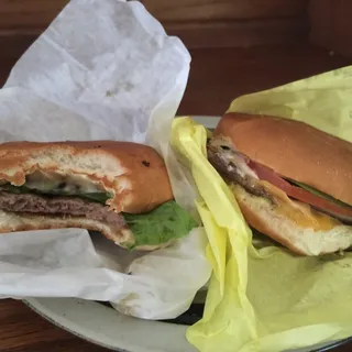 Teri Burger