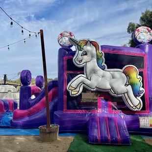 3D Unicorn Dry Slide