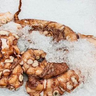 octopus tentacles on ice