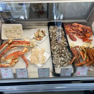 Shellfish display