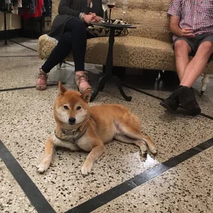 The store mascot