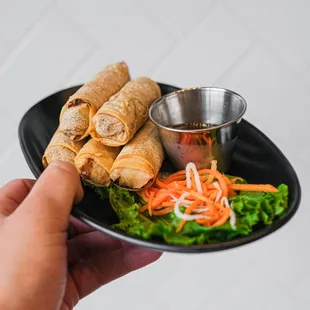 a person holding a plate of food