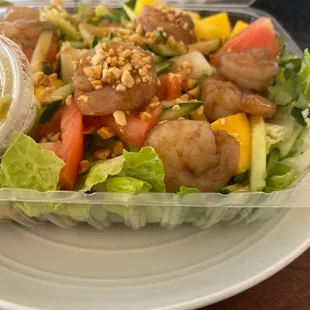 Shrimp Salad