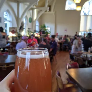 a person holding a glass of beer