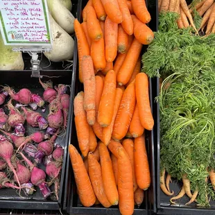 Fresh organic carrots