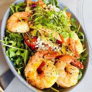 Asian salad with added shrimp