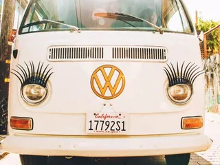 Painted Ladies Tour Company