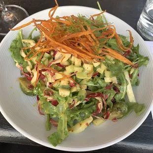 Wild Arugula and Radicchio Salad