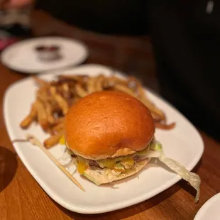 The burger and fries