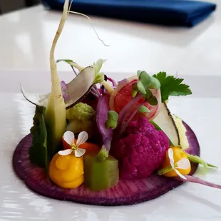 Fresh and fermented, first course on the antonyms tasting menu.