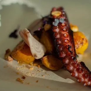Grilled octopus