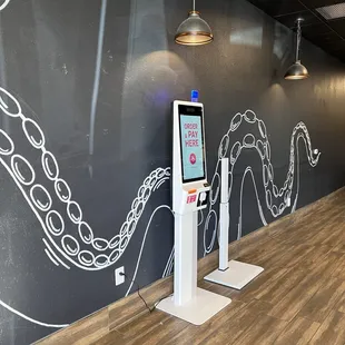 a chalk drawing of an octopus
