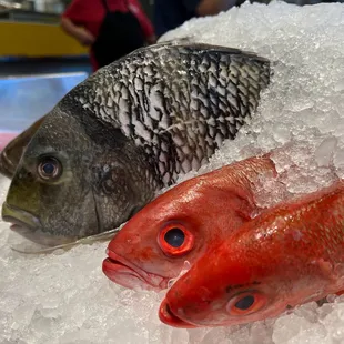 Fish market stocked with NC whole fish, oysters, frozen seafood, and more.