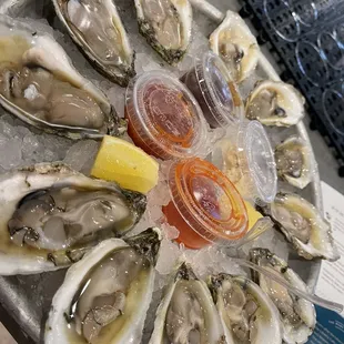 Assorted raw oysters