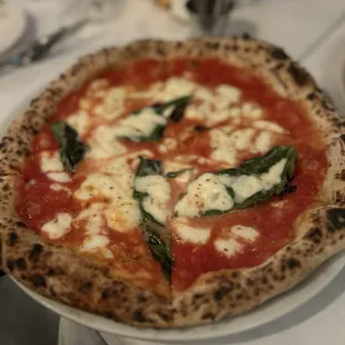 Margherita Pizza
