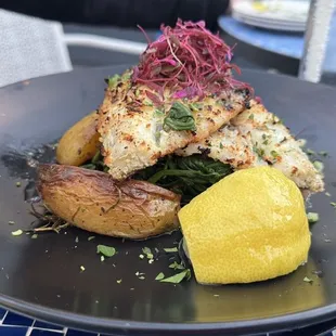 Sea Bass