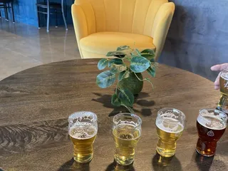 Zymos Brewing