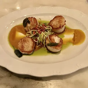 Scallops