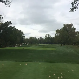 Par 3 into the wind...tough hole today