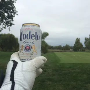 Perfect lie, 10th hole