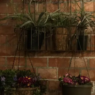 Tiny cozy backyard seating  the wall plants are nicely Maintained