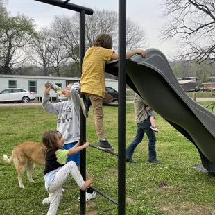 Monkey bars and slide