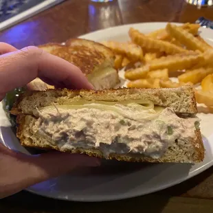 Amazing Tuna Melt