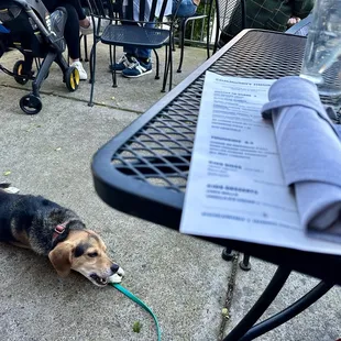 Dog friendly patio!