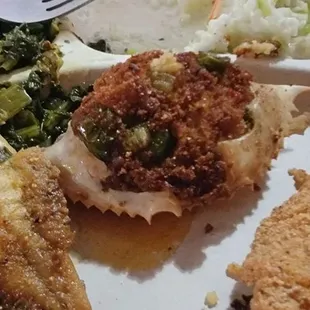 oysters, oysters and mussels, shellfish, food, mussels
