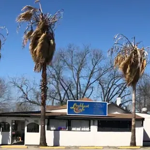 palm trees in front of the building