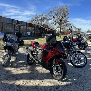 Loco Coyote, very nice!