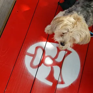 They have three 6ft benches all under a canopy so seating and shade is not a problem. My dog approves. \m/