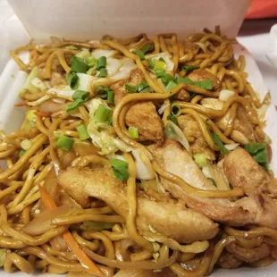 Japanese Fried Noodle Plate